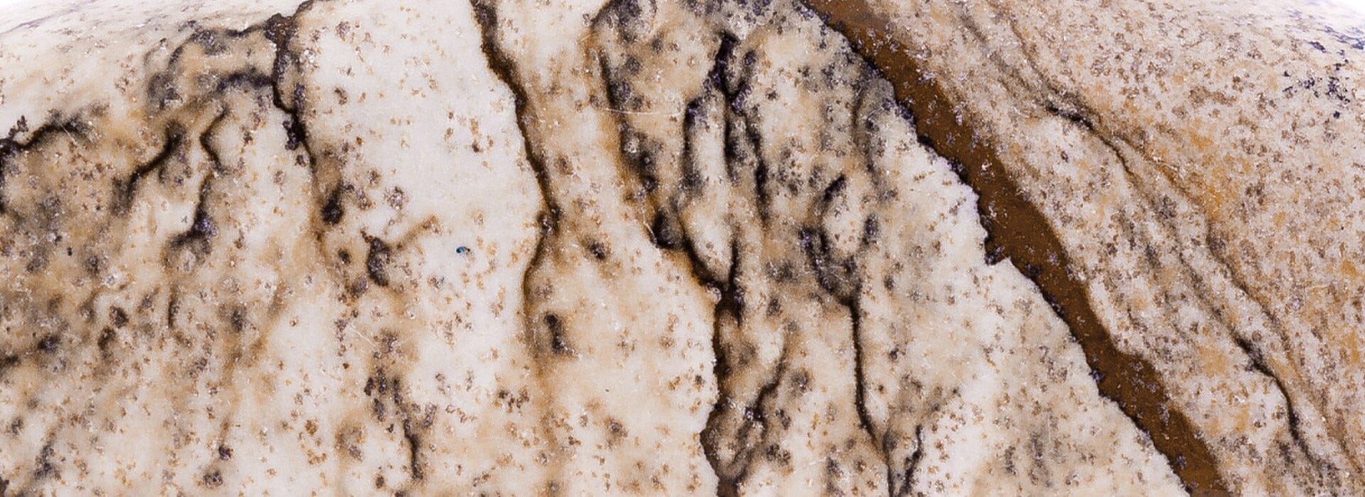 Picture Jasper Jewelry Collection