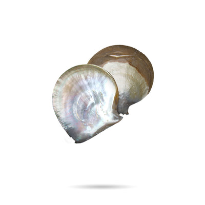 Mother of Pearl