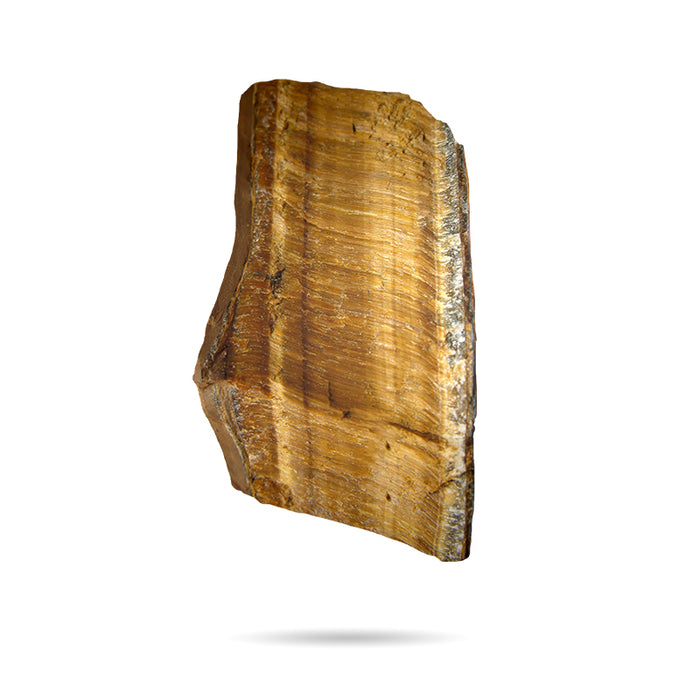 Yellow Tiger Eye