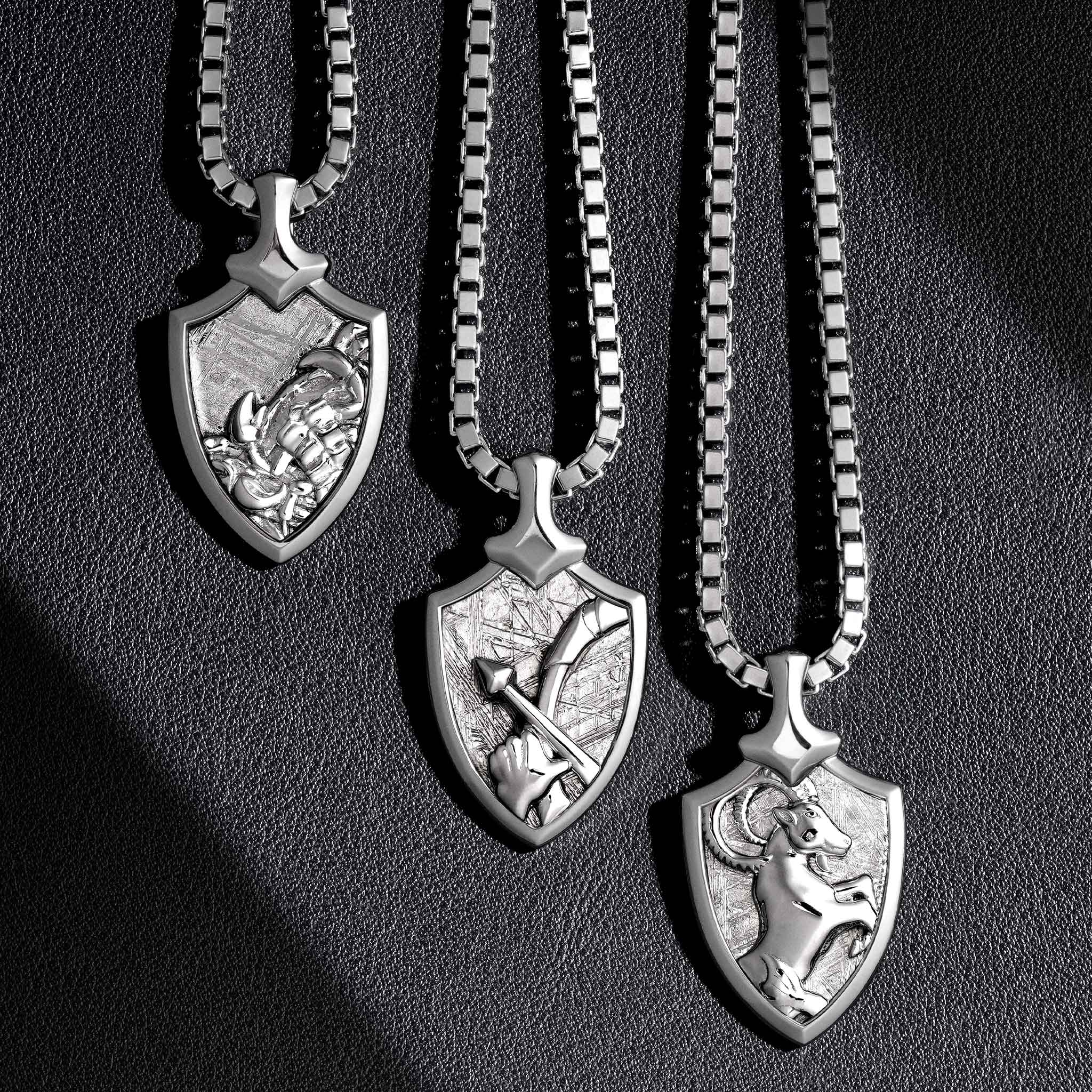 Capricorn Zodiac Meteorite Necklace Necklaces AWNL 