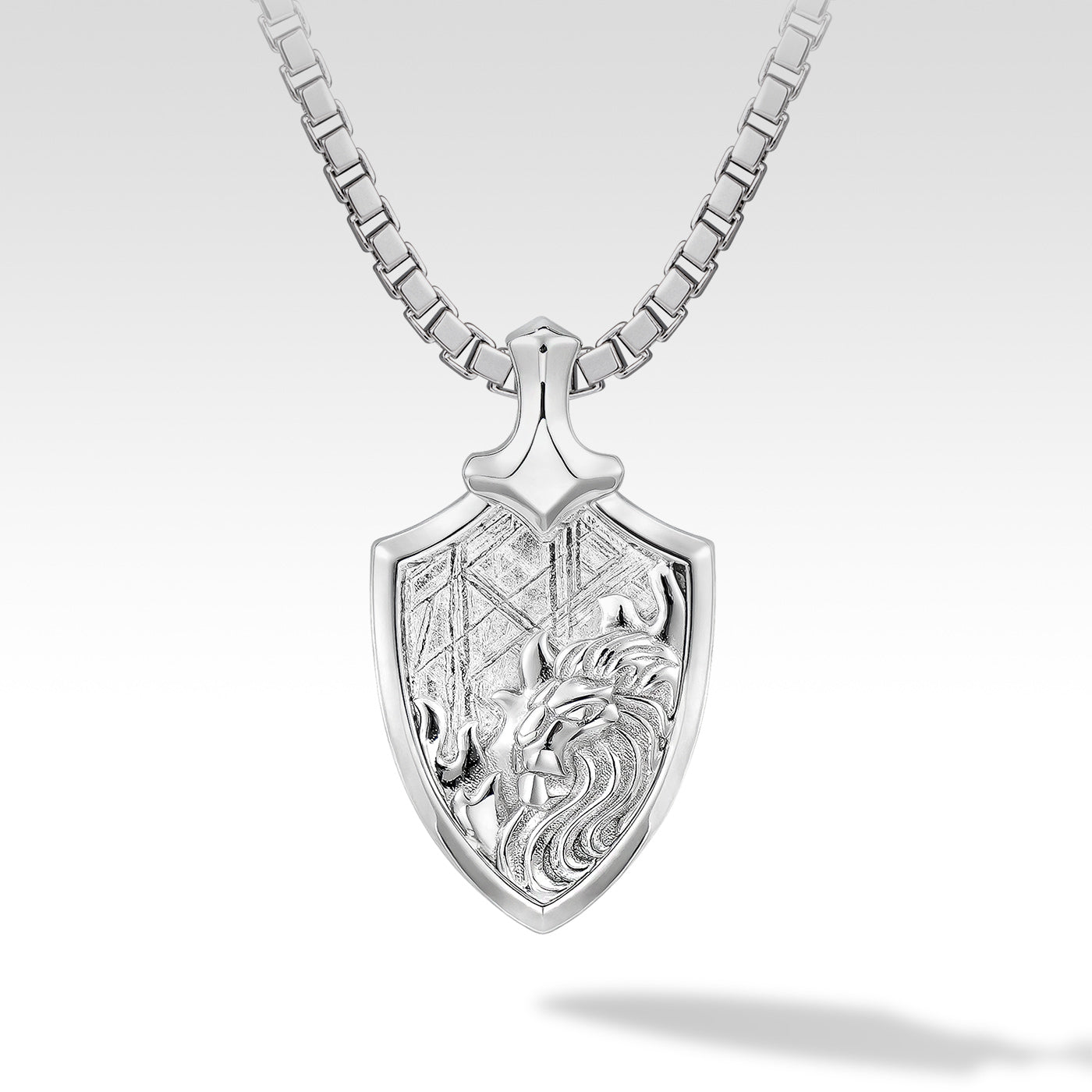 Men's Zodiac Leo Meteorite Pendant Necklace
