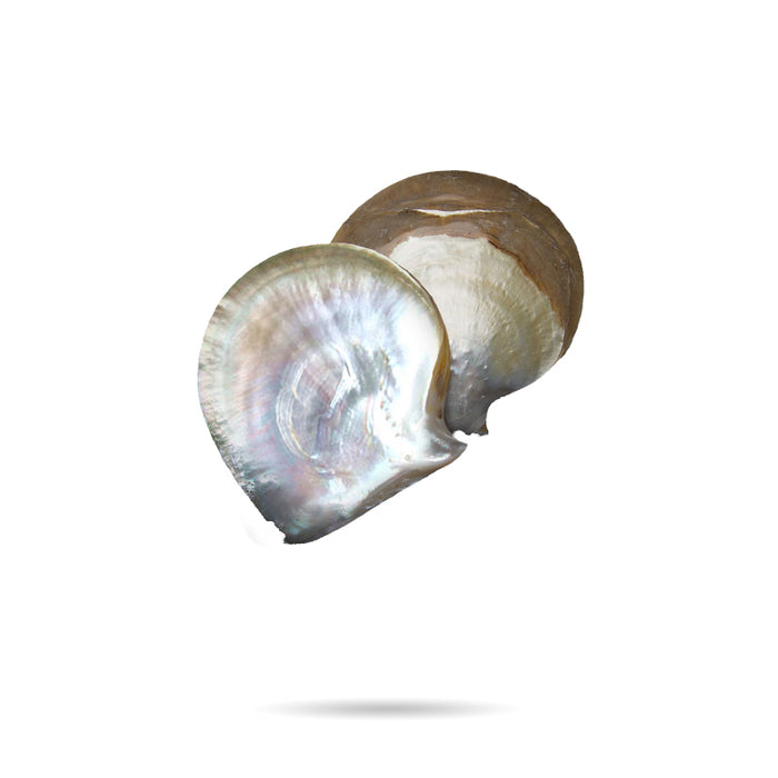 Mother of Pearl