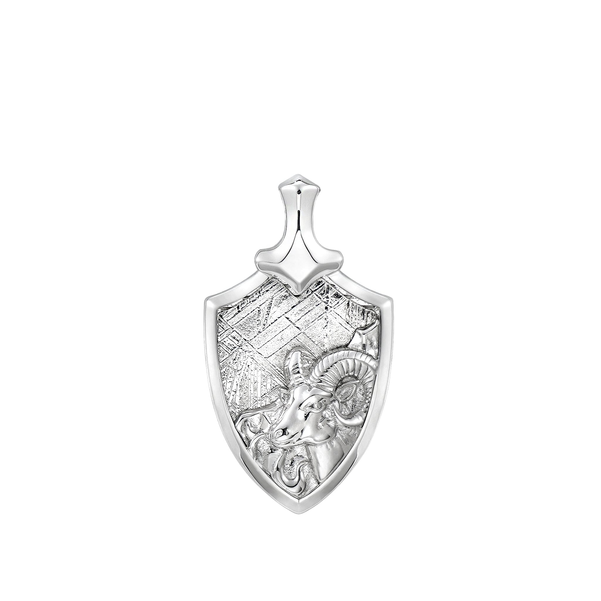 Men's Aries Zodiac Meteorite Pendant Necklace Necklaces AWNL Jewelry