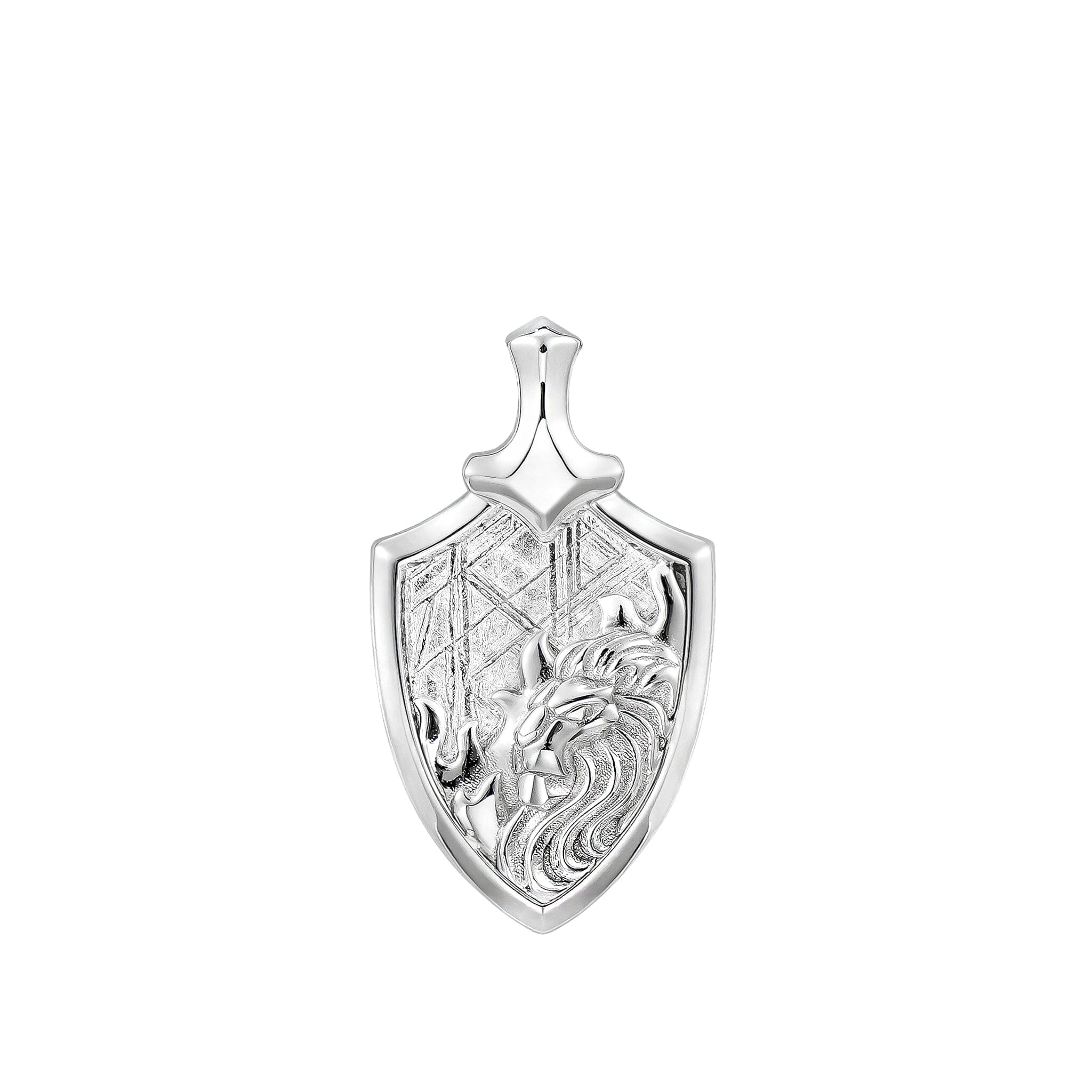 Men's Leo Zodiac Meteorite Pendant Necklace Necklaces AWNL Jewelry