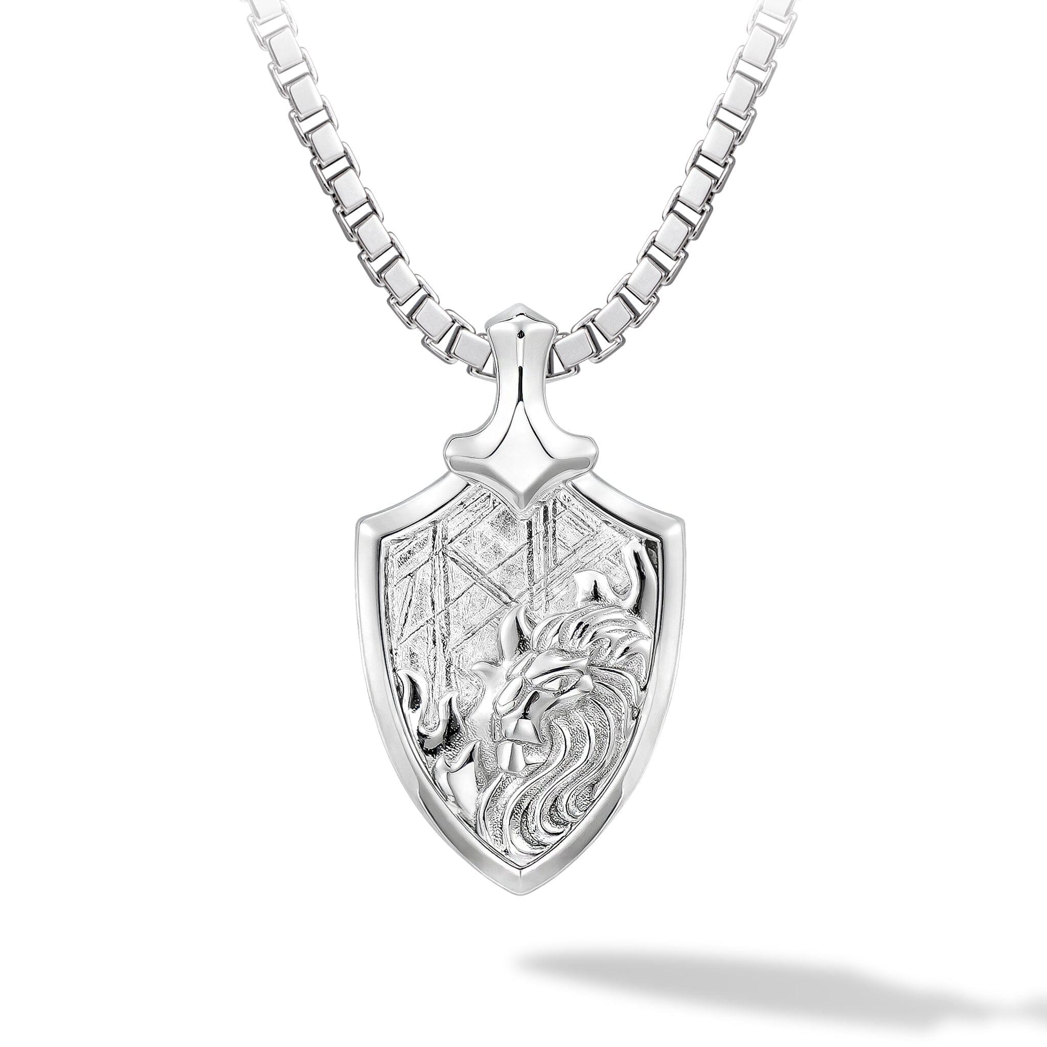 Men's Leo Zodiac Meteorite Pendant Necklace Necklaces AWNL Jewelry